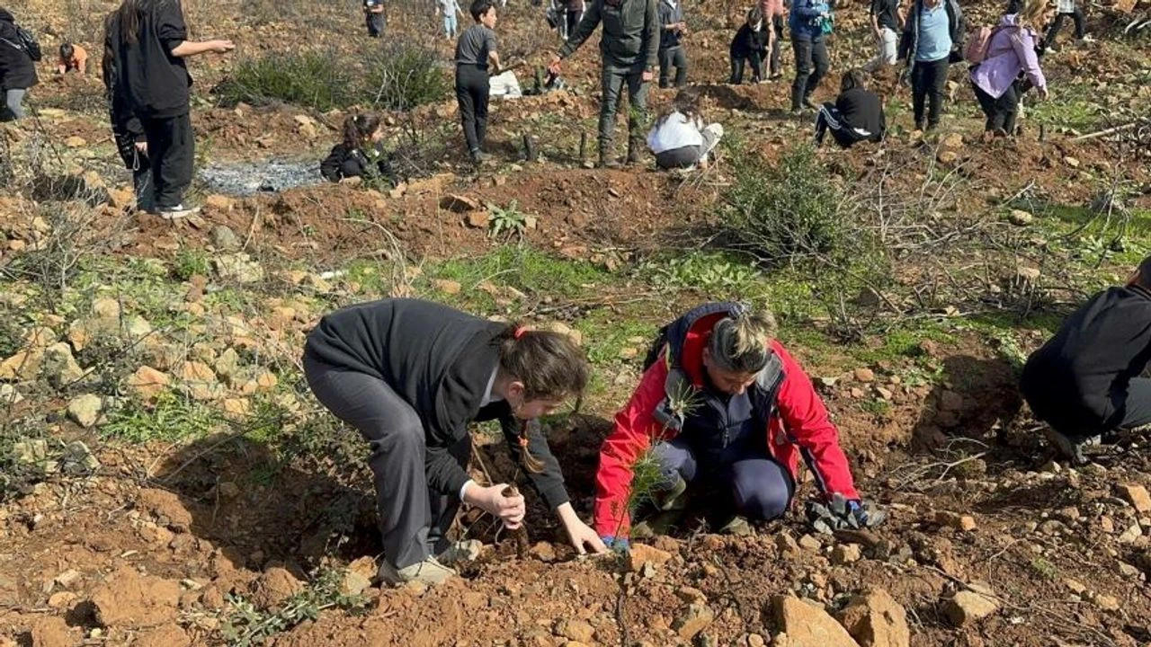 Türkiye’de temiz ve içilebilir suya erişim çoğu kişi için zor olduğundan dolayı en çok tercih edilen seçenek damacana su oldu. Ancak damacana kullanım