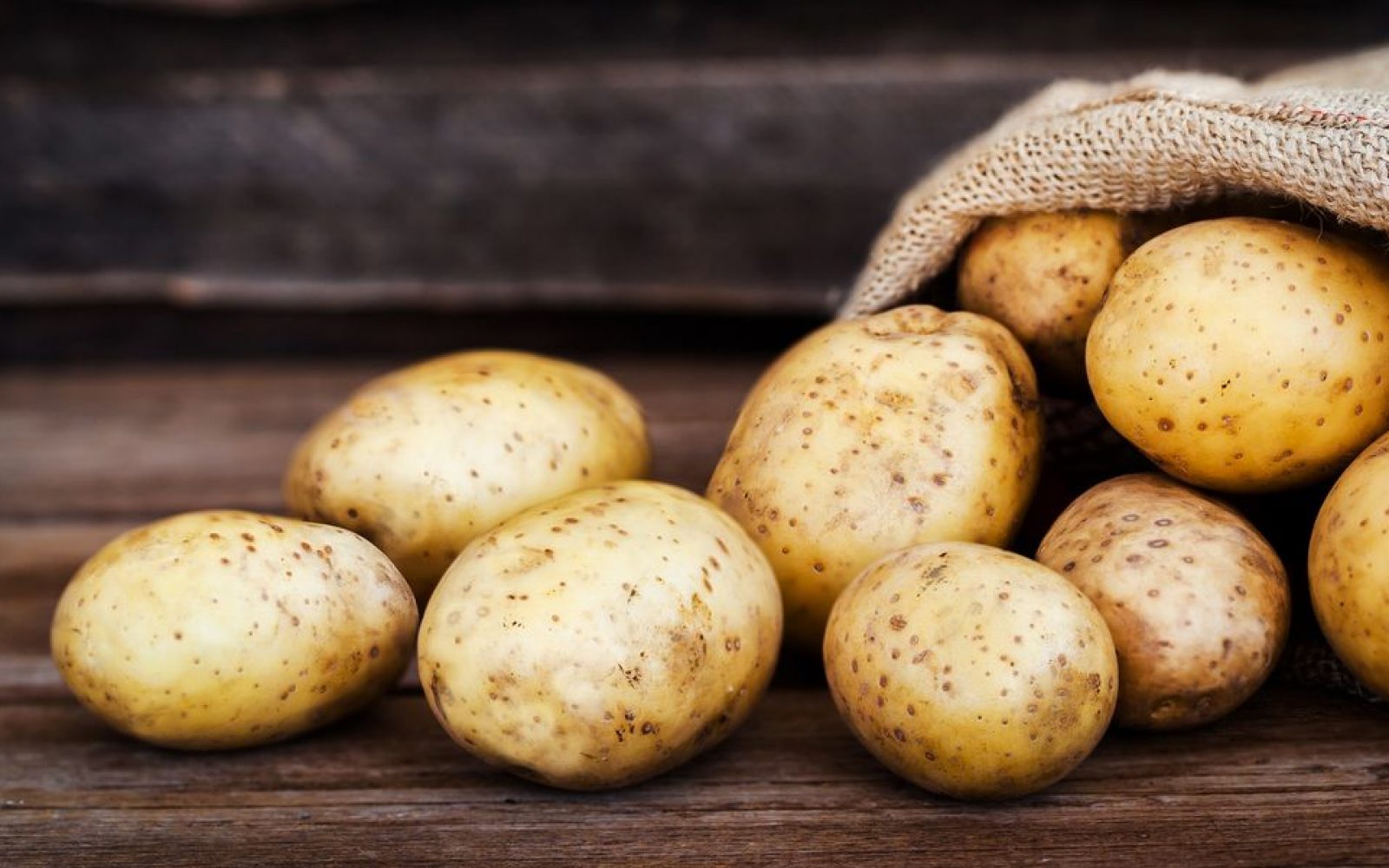Adana’da Patates Hasadı Başladı: Tarlada Kilosu 22-24 TL Arasında Satılıyor