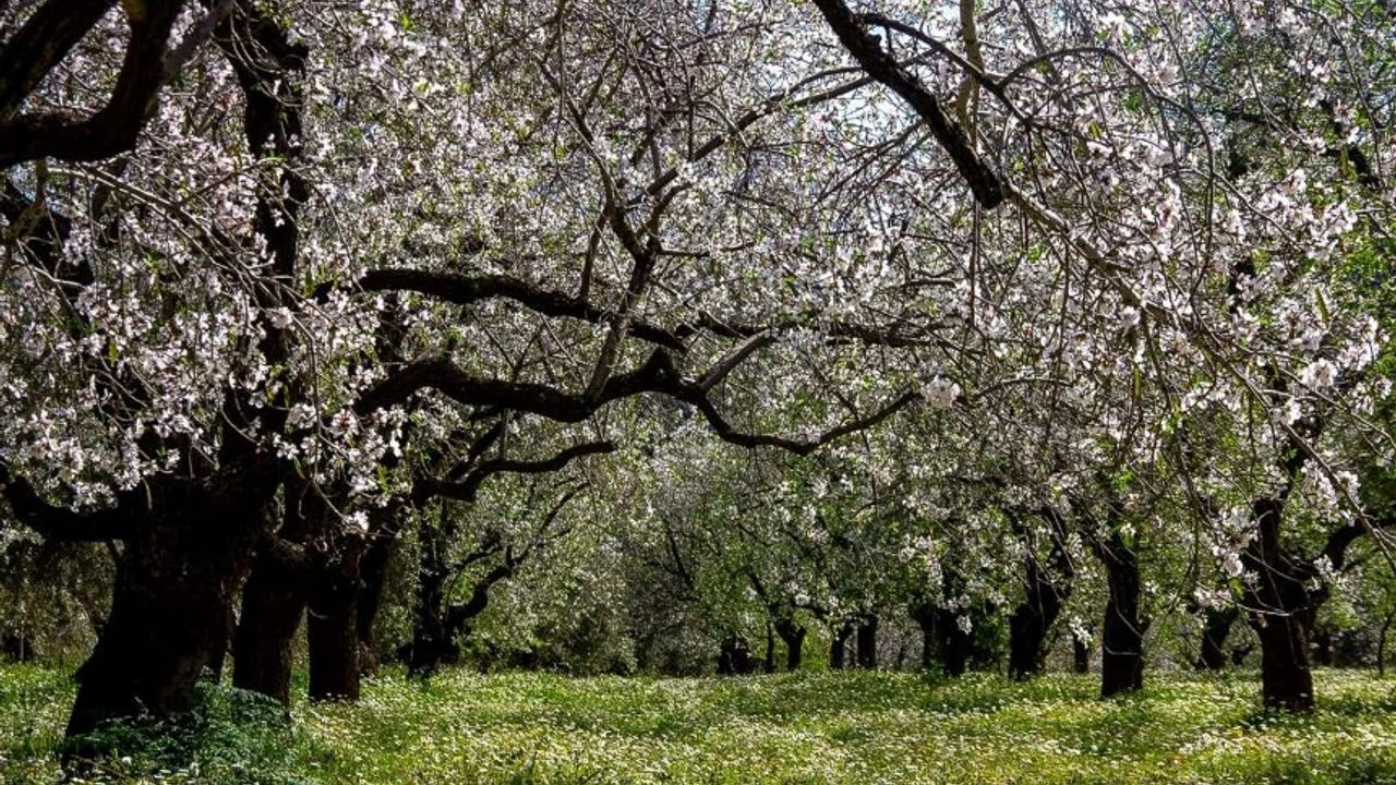 Tanzimat döneminde ortaya çıkan makamlardan birisi olan kaymakamlık günümüzde en prestijli ve zorlu mesleklerden birisidir. Çoğu kişi kaymakam olmayı